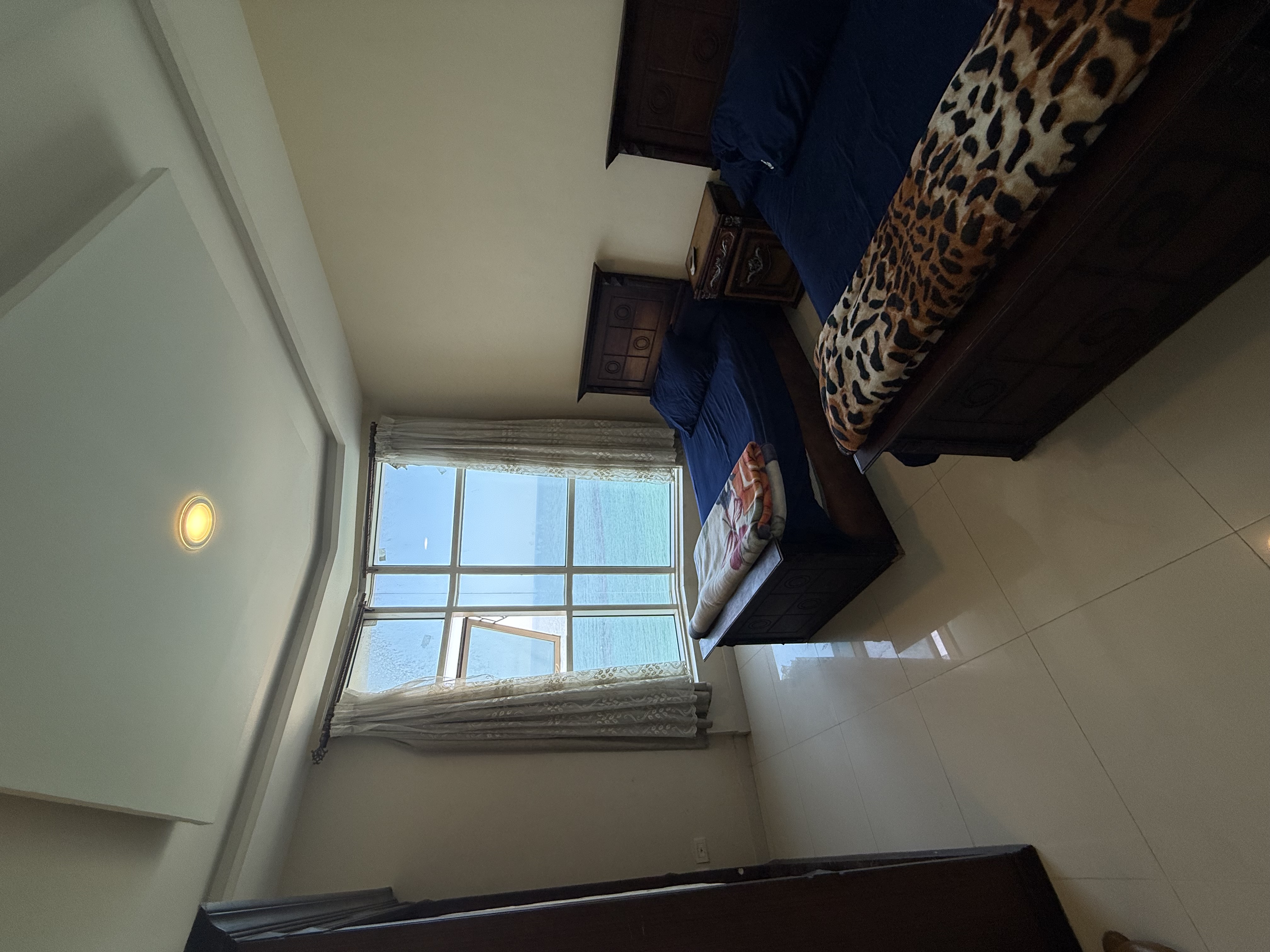 صورة المعرض 13