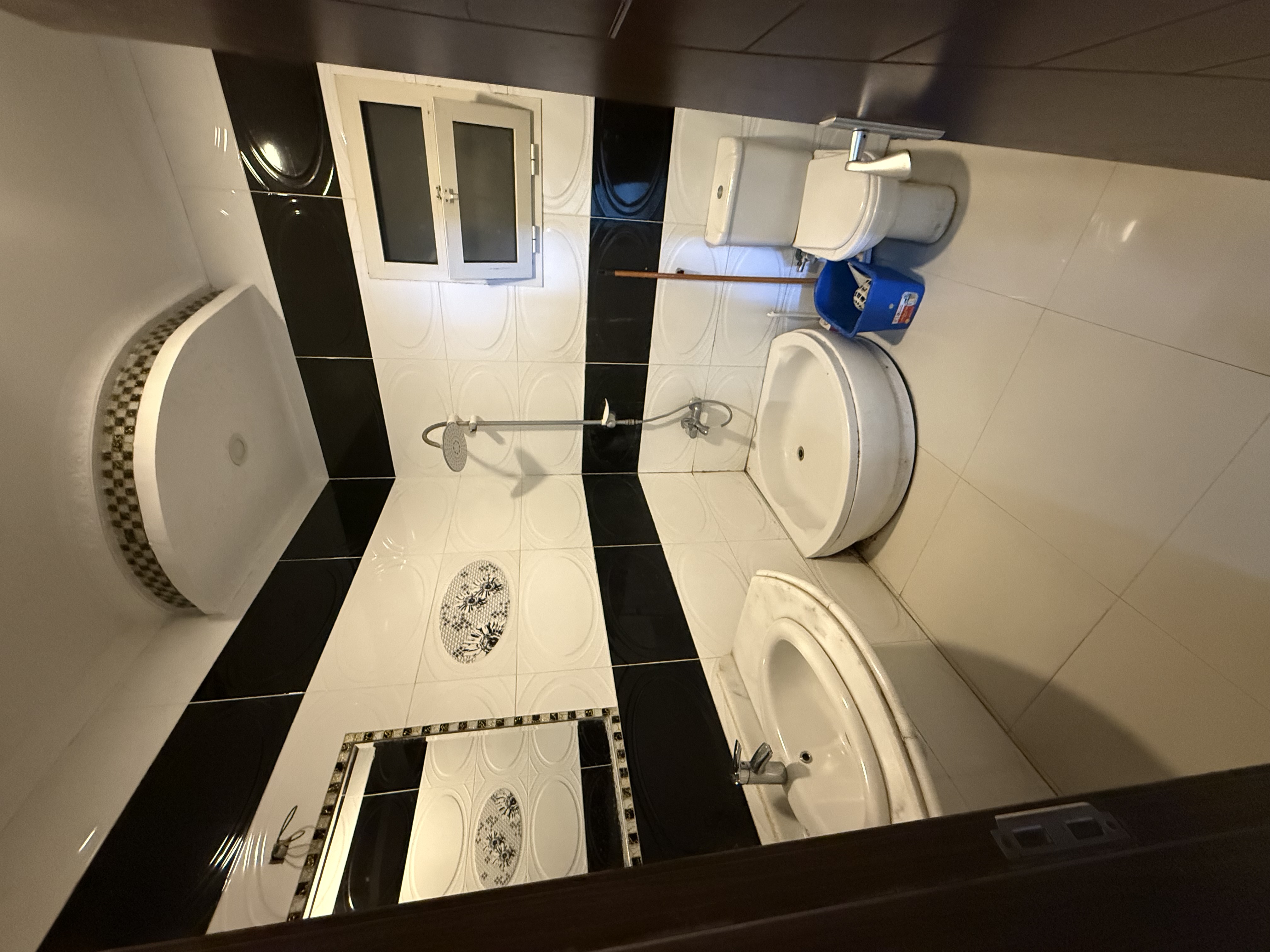 صورة المعرض 13